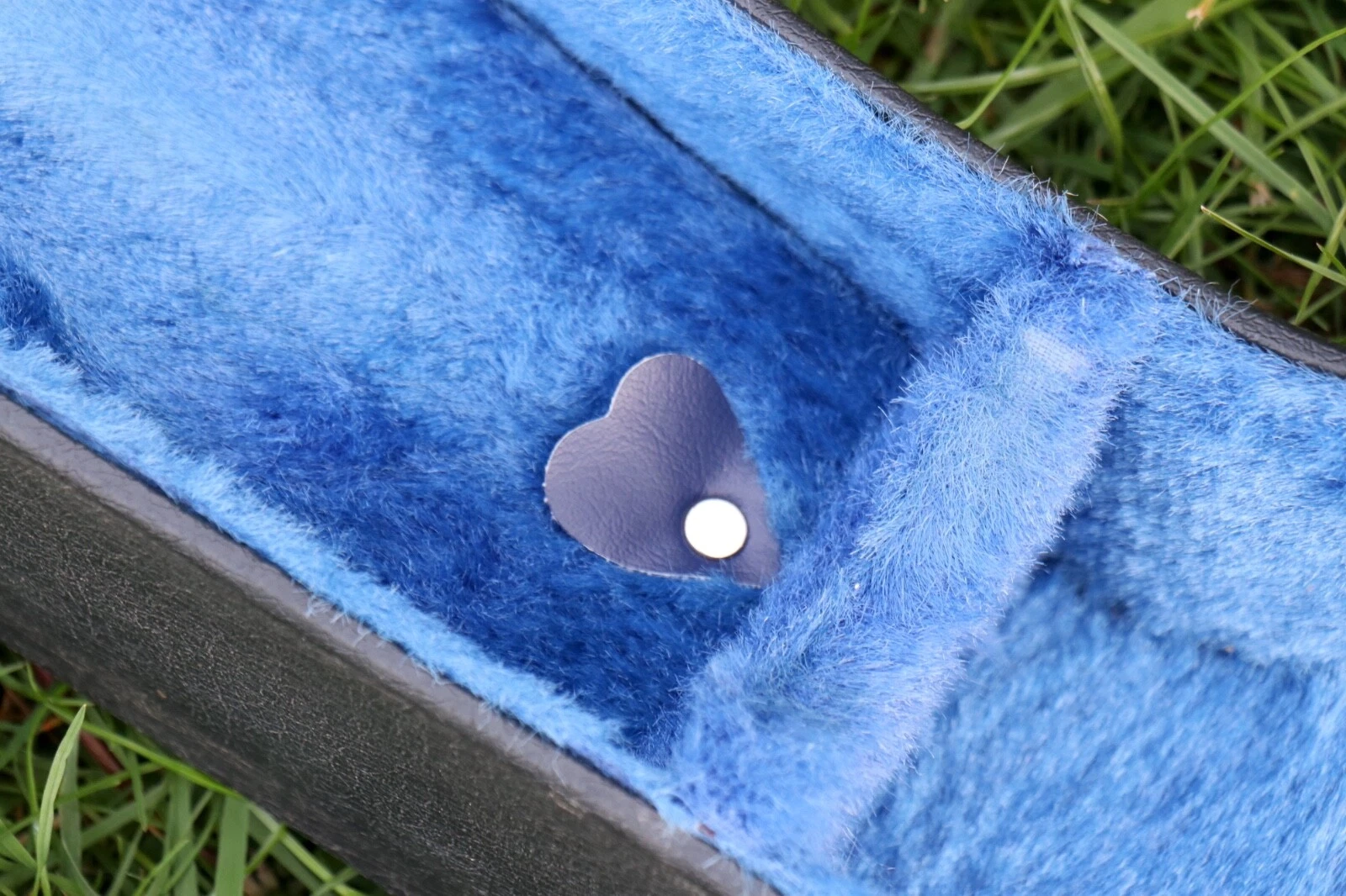 Picture 16 of 17