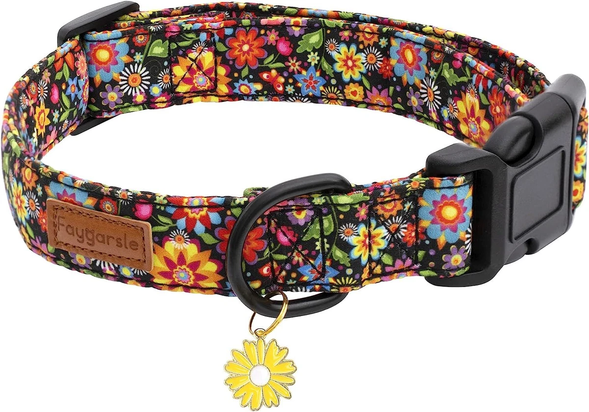 Fancy female sale dog collars
