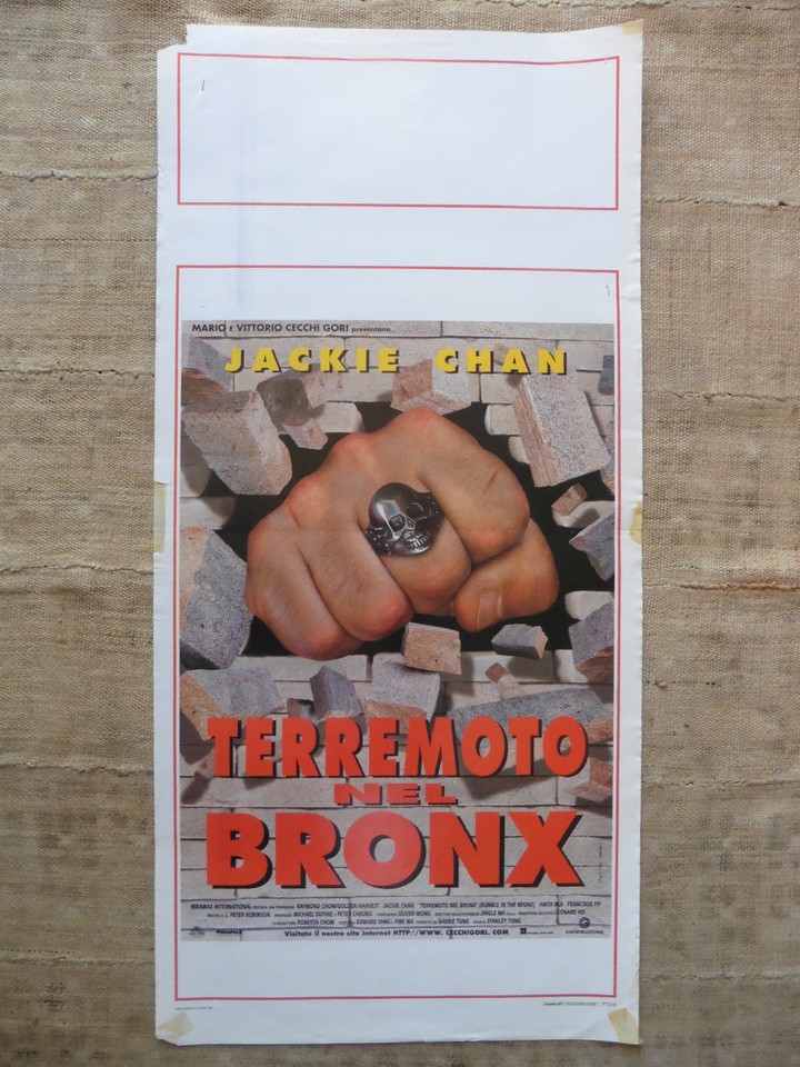 Locandina di Terremoto nel Bronx (1995)