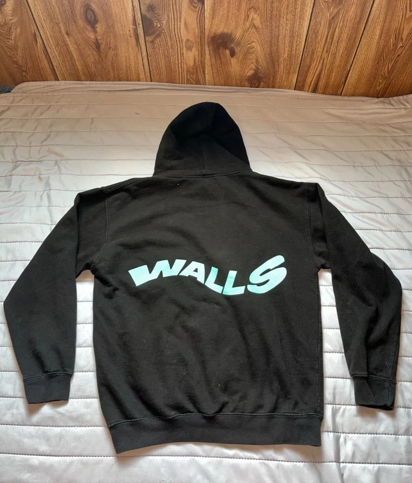 Louis Tomlinson Exclusive Merch 2020 Walls Hoodie Medium - Image 3 of 4