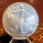 BU 1995 American Silver Eagle 1 Troy Oz .999 Fine Silver