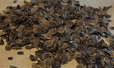 Premium Buckwheat Hulls - 2 lbs / 4 lbs / 6 lbs | Ideal for Pillows & Crafts