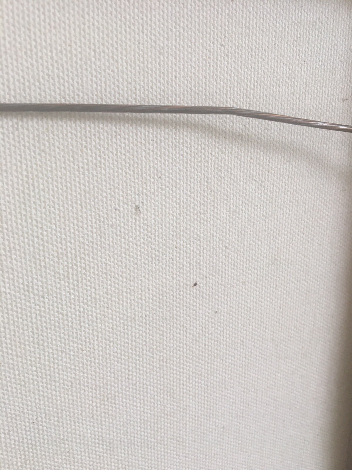 Picture 11 of 12