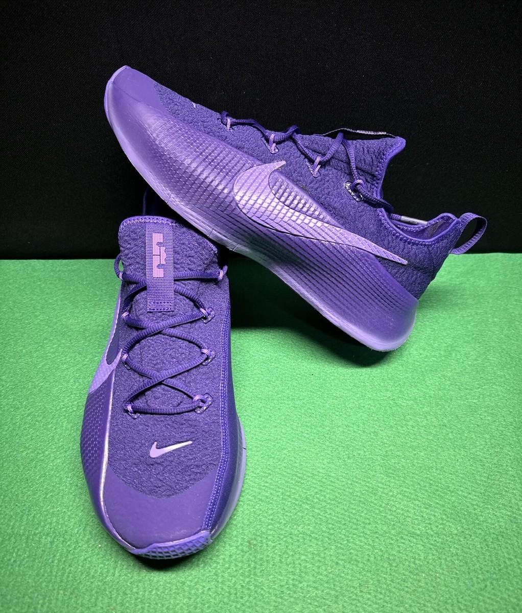 【NIKE】◆LeBron TR 1 Coat Purple◆FJ6151-500◆ NEW Nike Lebron TR1 Purple Rain Court Purple Grape FJ6151