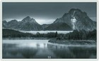 Bild 50 von 239