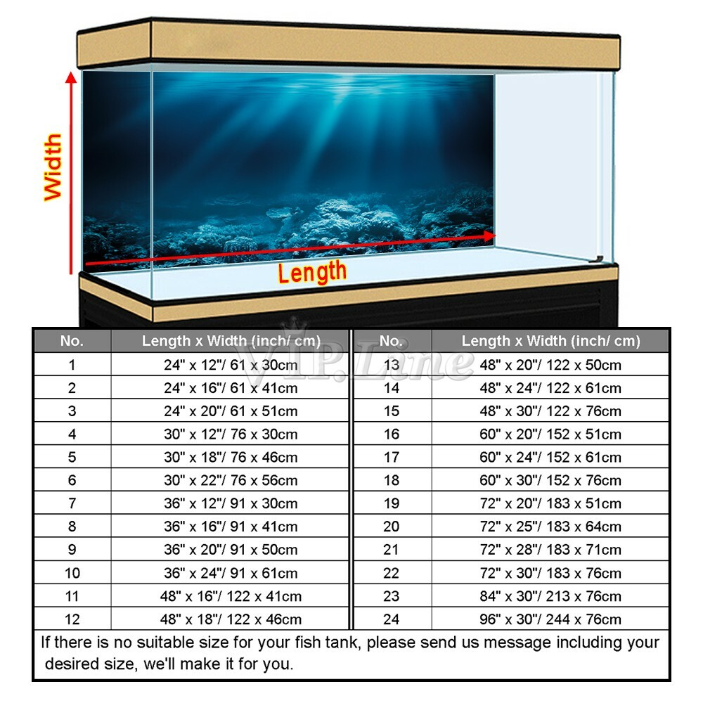 100-gallon-fish-tank-dimensions
