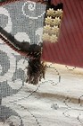 Bild 3 von 10