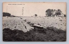Onion or Tuber Crop Rows COCHRAN Georgia Vintage Bleckley County Alma Cover 1955