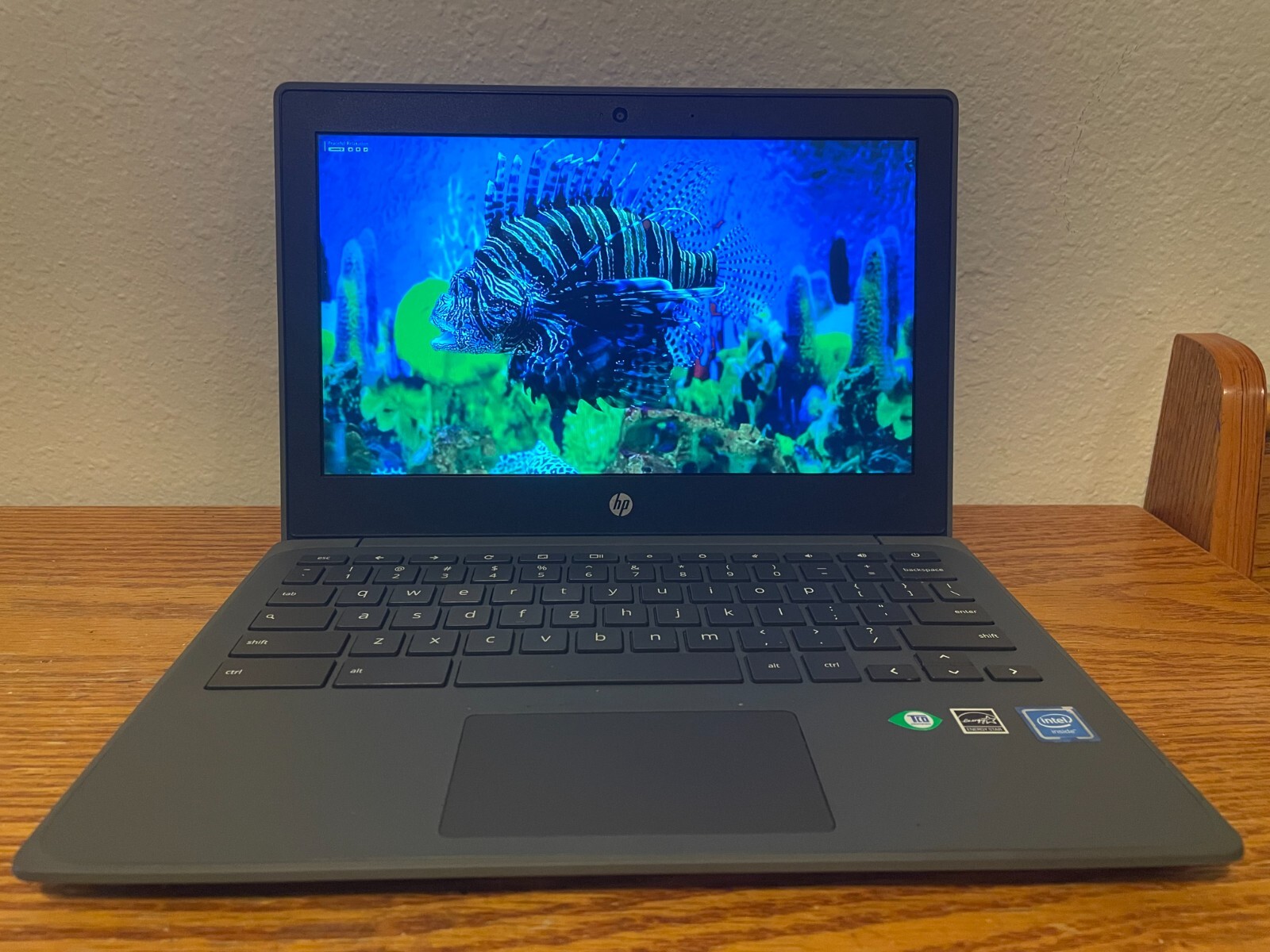 HP 11 G7 11.6 inch Chromebook 4GB 16GB SSD. Google updates through June 2029