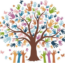 156 Pcs Boho Classroom Tree Bulletin Board Decorations Set Everyone Belongs Wall