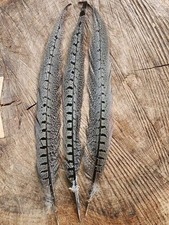Fly Tying Material Pheasant Tail Feathers Approximately 30cm