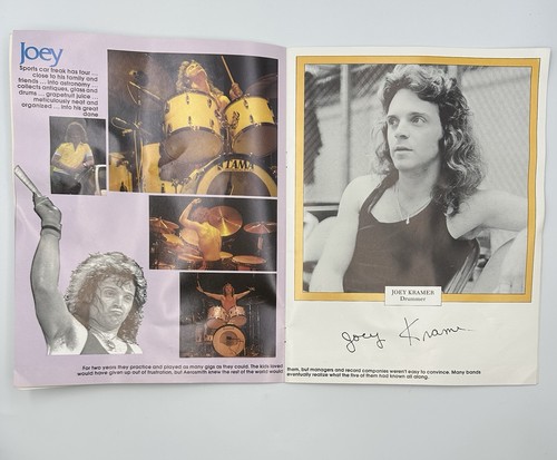 Tour Book Aerosmith 1978 Bootleg Concert Program 16 Pgs Steven Tyler Joe Perry - Picture 5 of 12