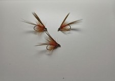 3 Fiery Brown Dabbler UV Dubbed Bronze Mallard Wet trout fly fishing size 10