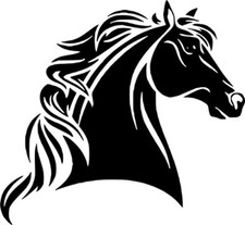 Horse Head Animal Horses Art Decor Wall Car Laptop Window Vinyl Decal Sticker