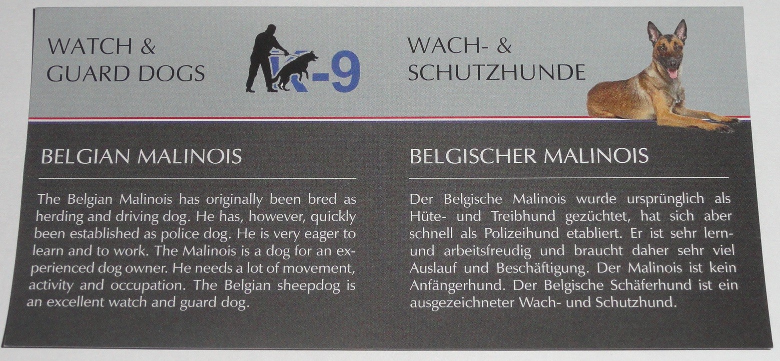 Bild 7 von 7