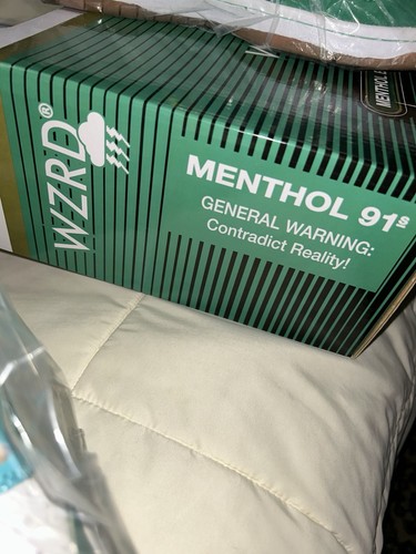 Nueva Zapatilla Deportiva WZRD®️ Menthol 91’s Para Hombre Talla 10 Extremadamente Rara - Imagen 15 de 17
