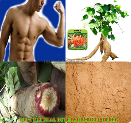 100 % Natural Butea Superba Powder MEN Male rejuvention Free  Shipping Register - Picture 1 of 2