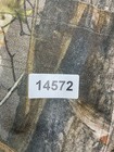 Bild 12 von 12