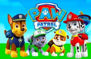 paw patrol team