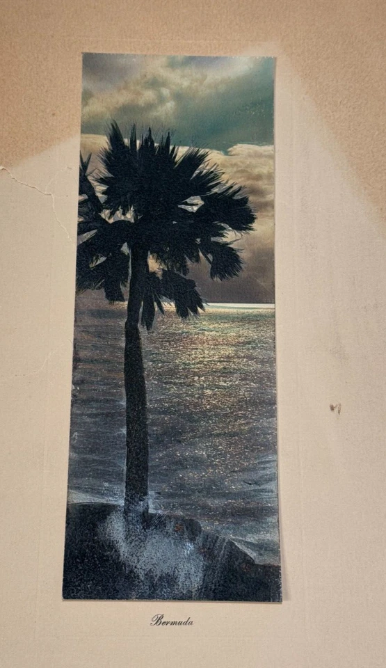 H. MARSHALL GARDINER ANTIGUO ORIGINAL ANTIGUO FOTOGRAFÍA EN COLOR BERMUDAS VISTA PAISAJE MARINO Foto 2 de 4