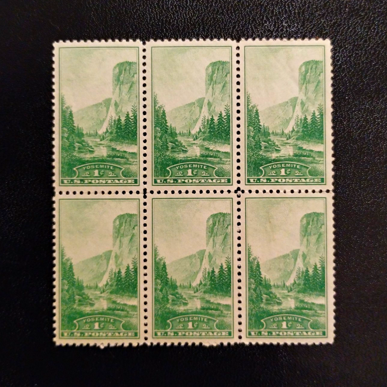 United States Yosemite 1¢ Green Block of 6 MNH Ungraded