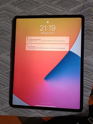 Apple iPad Pro 4th Gen. 256GB, Wi-Fi + 4G (Unlocked), 12.9 in