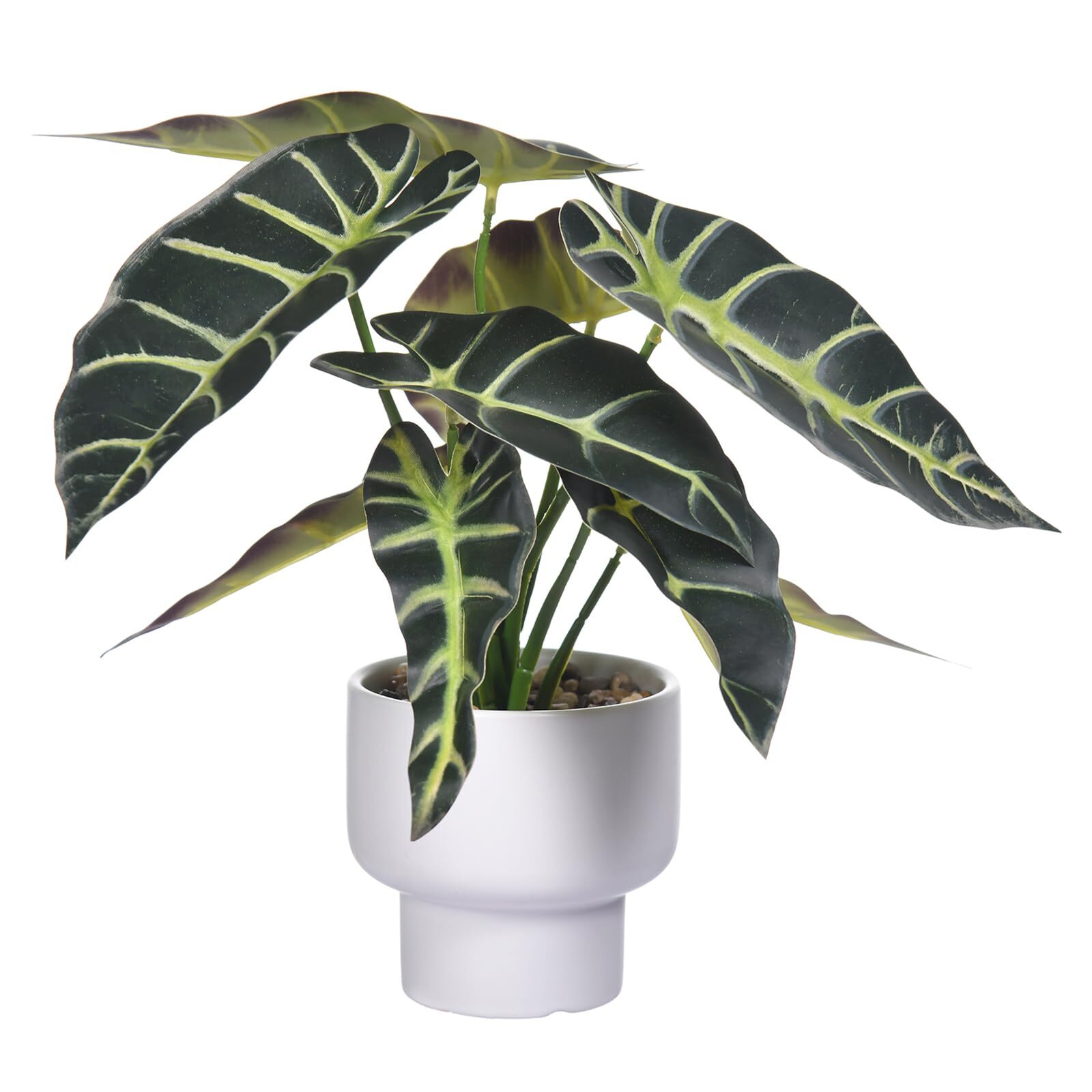 Artificial Potted Alocasia Begonia in Ceramic Pot Faux Indoor Plant-image