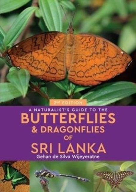 A Naturalist's Guide To The Butterflies Of Sri Lanka (2Nd Edition) Gehan De Silva Wijeyeratne - Image 5