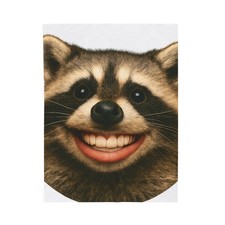 Velveteen Plush Blanket Animal Humor Art Raccoon Smile