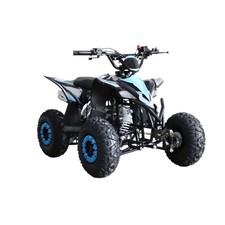 QUAD BIKE PETROL 110CC PROMAX 110 – BLUE