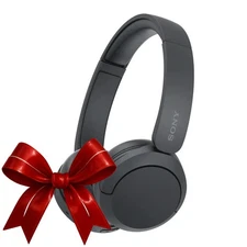Sony WHCH520 Compact Wireless Bluetooth On Ear Headphones FUN (Black)