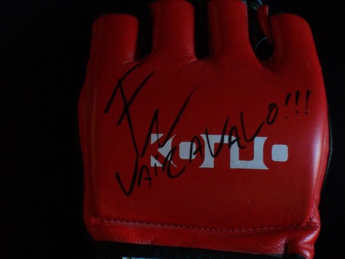 Fabricio Werdum handsignierter MMA Kampfhandschuh - Bild 1 von 3
