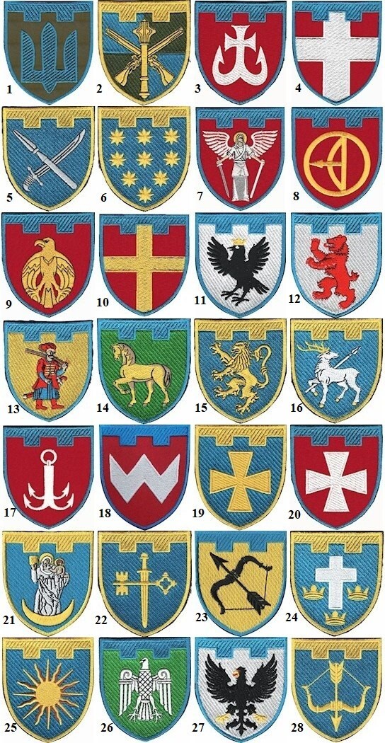 🇺🇦 Patchs Militaires Ukraine – Forces De Défense Territoriale (Neufs, Militaria)