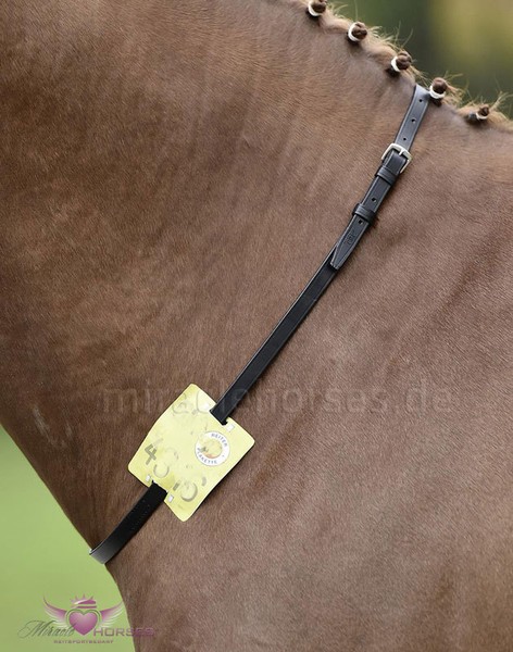 Busse Lederriemen FüR Reitkennzeichen Halsriemen Schwarz Gr. Pony Neu-image