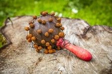 Handmade Coconut Maraca with seed and net