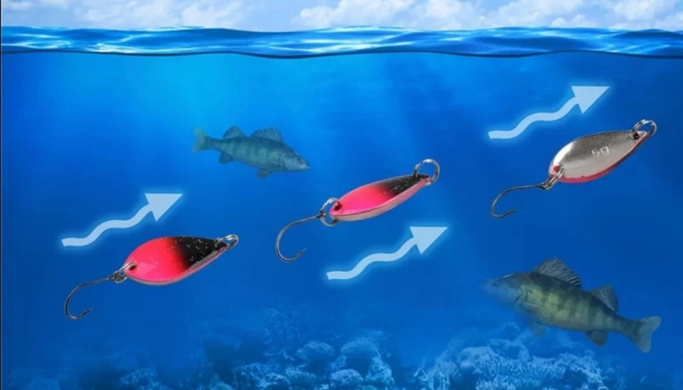 Forelle Trout Spoons Set in Tackle Box 12 Stück 5 Gramm Angeln Spinner Blinker - Bild 4 von 4