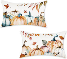 Fall Pumpkins Pillow Covers 12x20 Inch Set of 2 Farmhouse Autumn Thanksgiving De