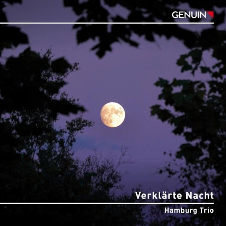 Гамбургское трио Hamburg Trio: Альбом Verklärte Nacht (CD) (ИМПОРТИРОВАН ИЗ Великобритании)