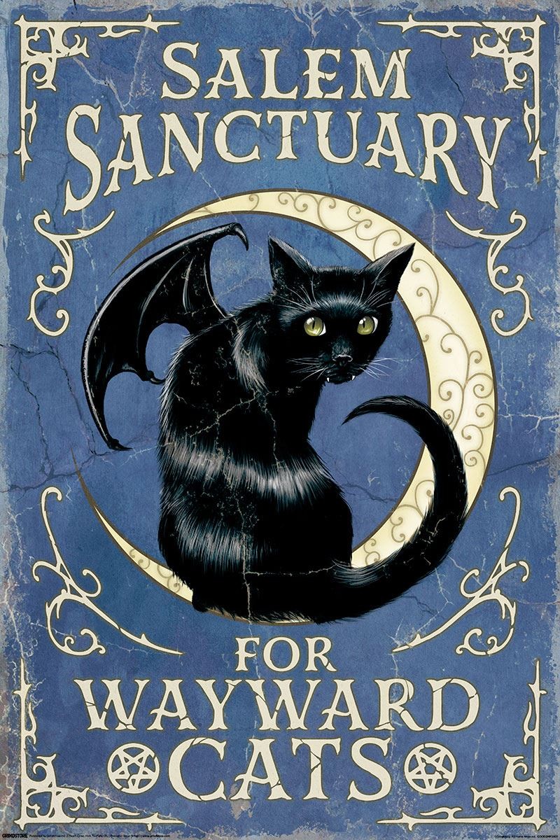 Salem Sanctuary For Wayward Cats Maxi Poster - Laminated