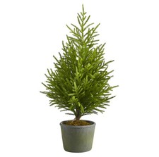 3-ft Norfolk Island Pine Natural Look Artificial Tree in Decorative Planter