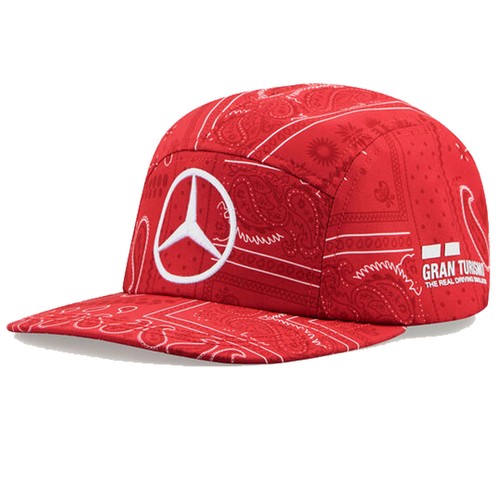 2020 Mercedes-AMG F1 Team Lewis 