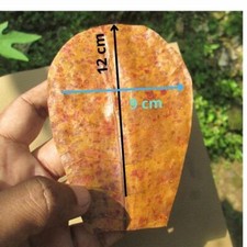 100 Indian Almond Leaves For Fish Tank Aquarium Dried Catappa Ketapang 12cm x 9