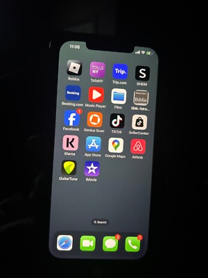Apple iPhone 12 Pro Max Tik Tok app included - 256 GB -  (Unlocked)