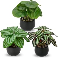 3Er Set KüNstliche Kunstpflanzen Zimmerpflanzen Deko Wohnzimmer Bad 15Cm