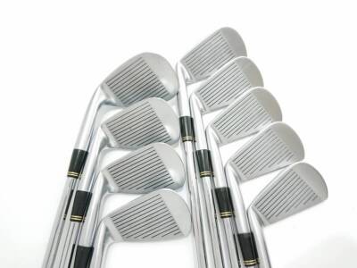 Golf Iron Set Mizuno Pro MS-201 FORGED Dynamic Gold R400 9pcs 3-S