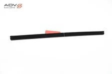 2023 - 2025 HYUNDAI IONIQ 6 REAR LEFT DOOR WINDOW INNER WEATHERSTRIP SEAL OEM