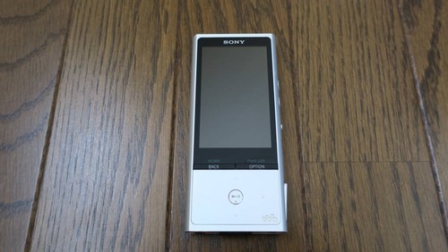 Sony Walkman NW-ZX100 128GB High-Resolution Audio Player Silver Used F/S