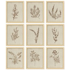 Botanical Wall Art Vintage Botanical Prints, Plant Art Wall Decor, Neutral F...