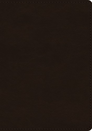 ESV Single Column Journaling Bible, Large Print - 9781433568749