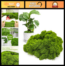 "10.6oz Fake Green Moss for Indoor Plants  Crafts - Faux Decor for Fairy Garden